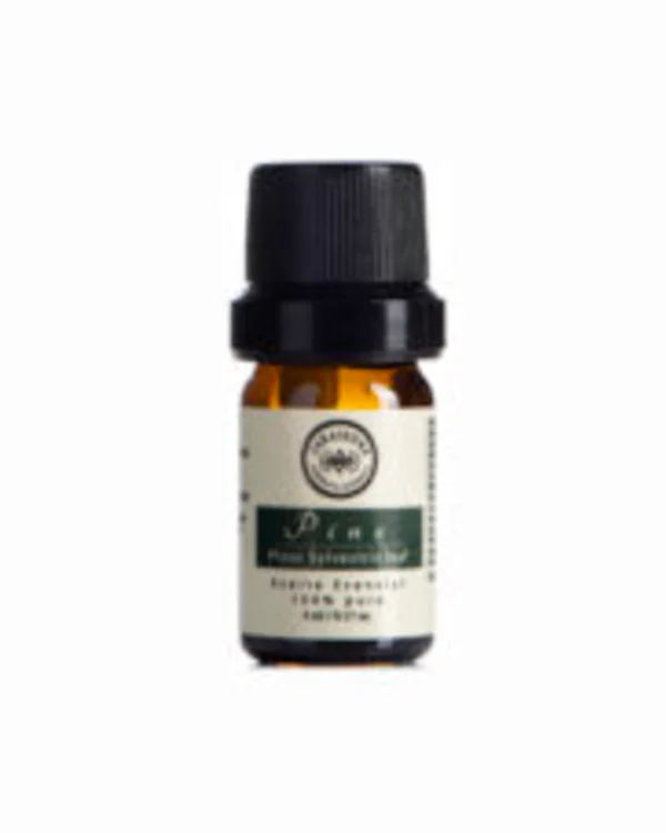 Aceite esencial de Pino 5 ml