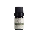 Aceite Esencial de Anis 5ml