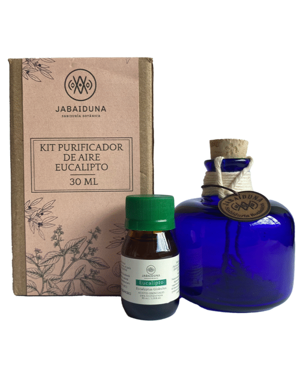 Kit Purificador de Aire